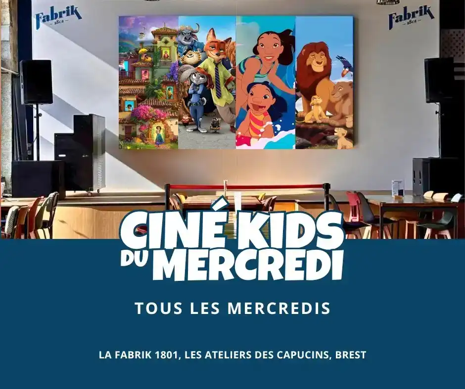 Fabrik Mercredis Dessins Animes